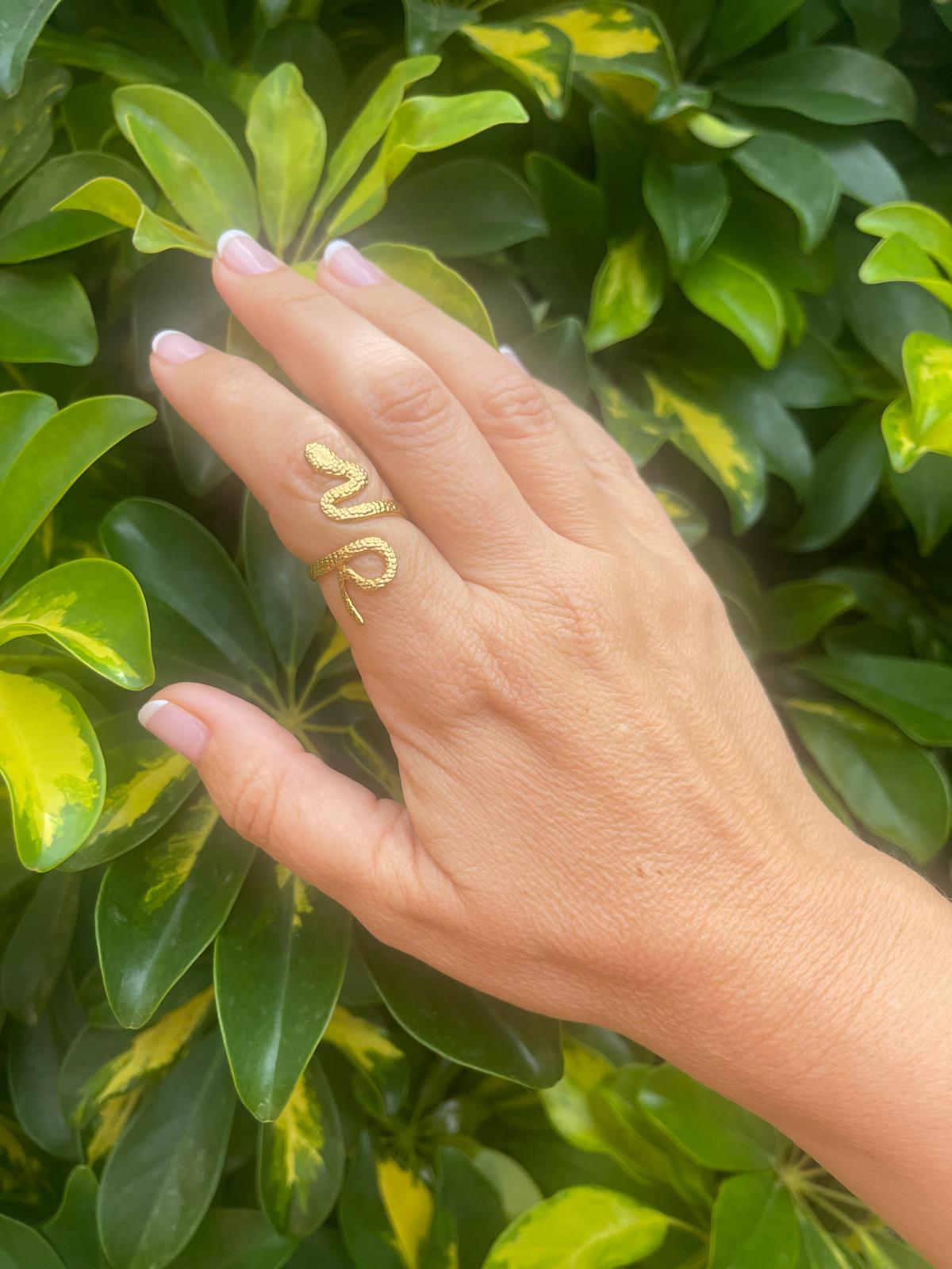 Anillo Snake