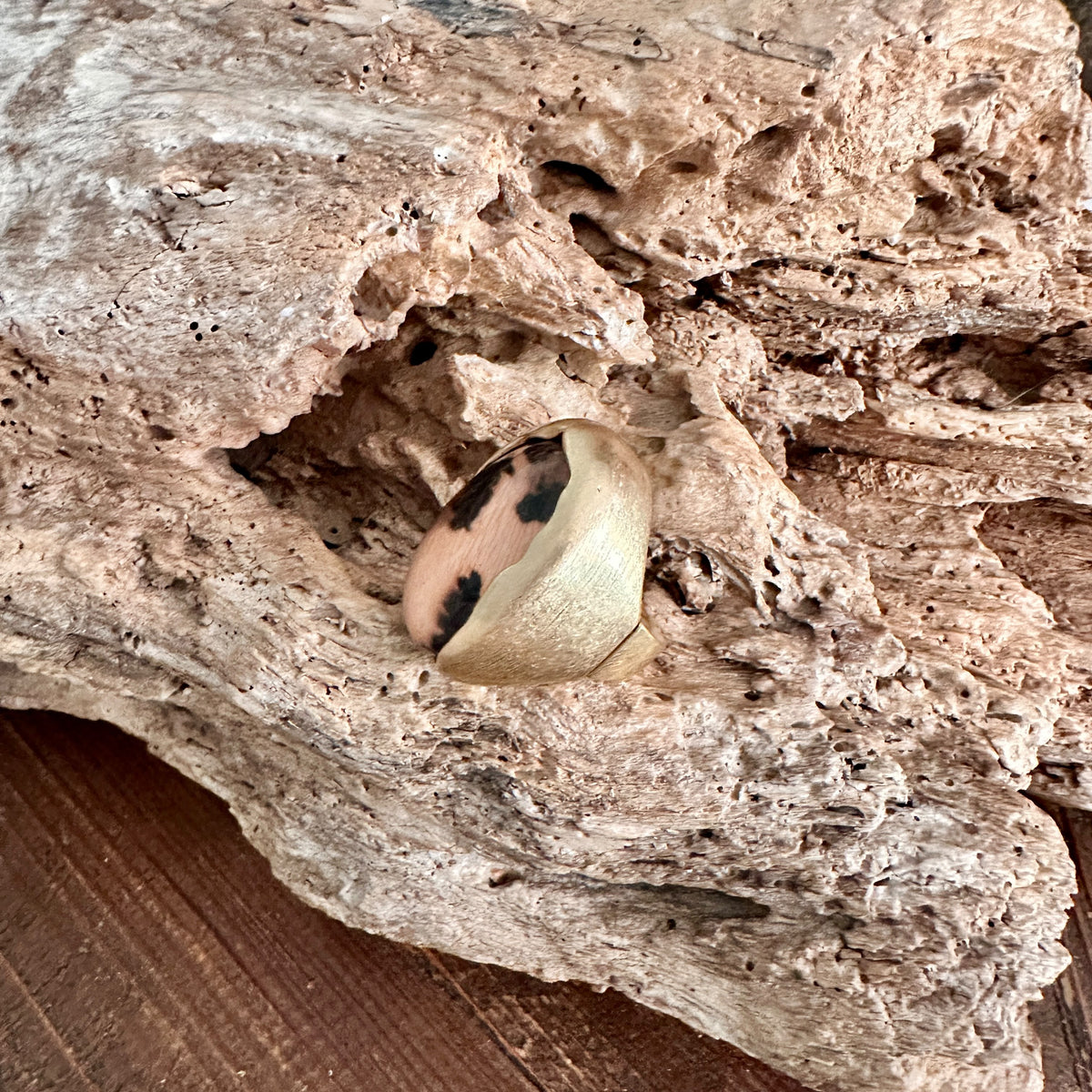 Anillo Selva Negra