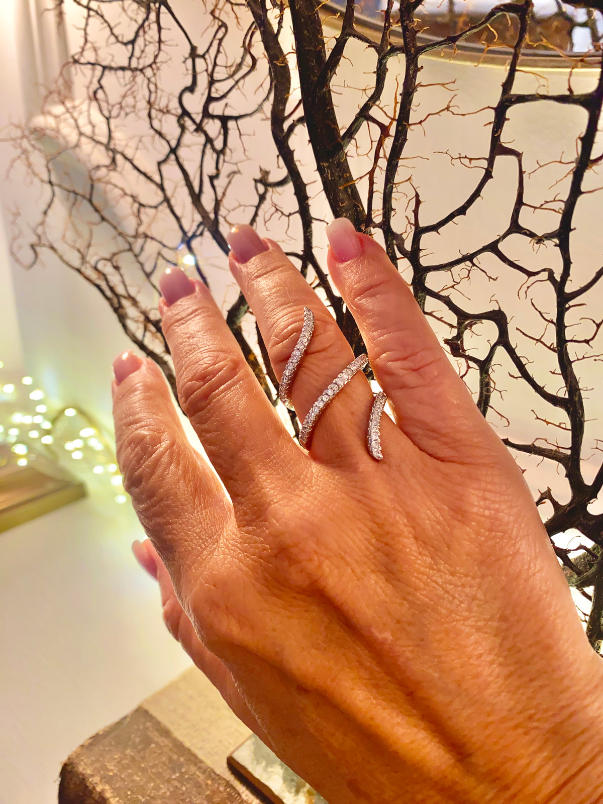 Anillo Edén
