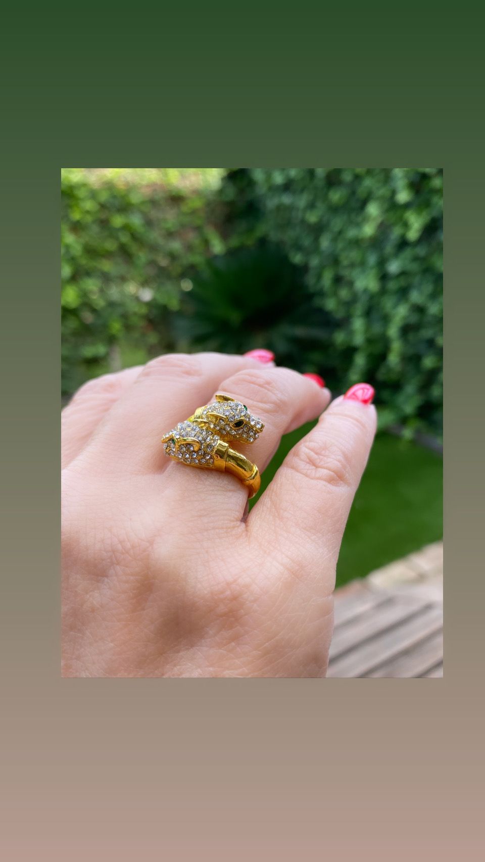 Anillo Doble Panther