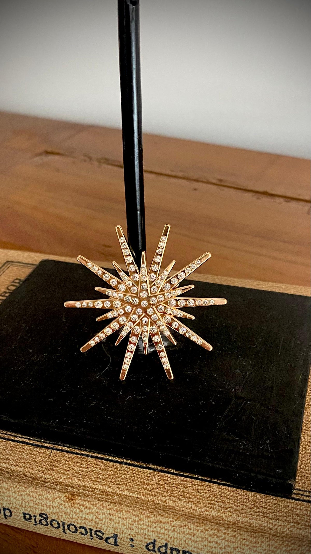 Broche Estrella Unisex