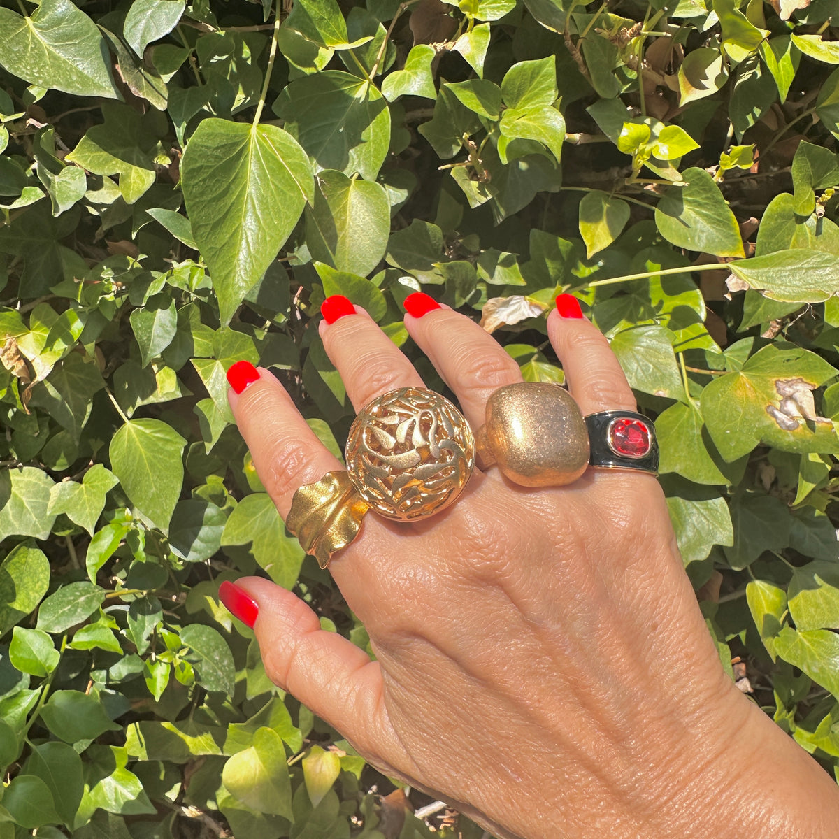 Anillo Esfera botánica
