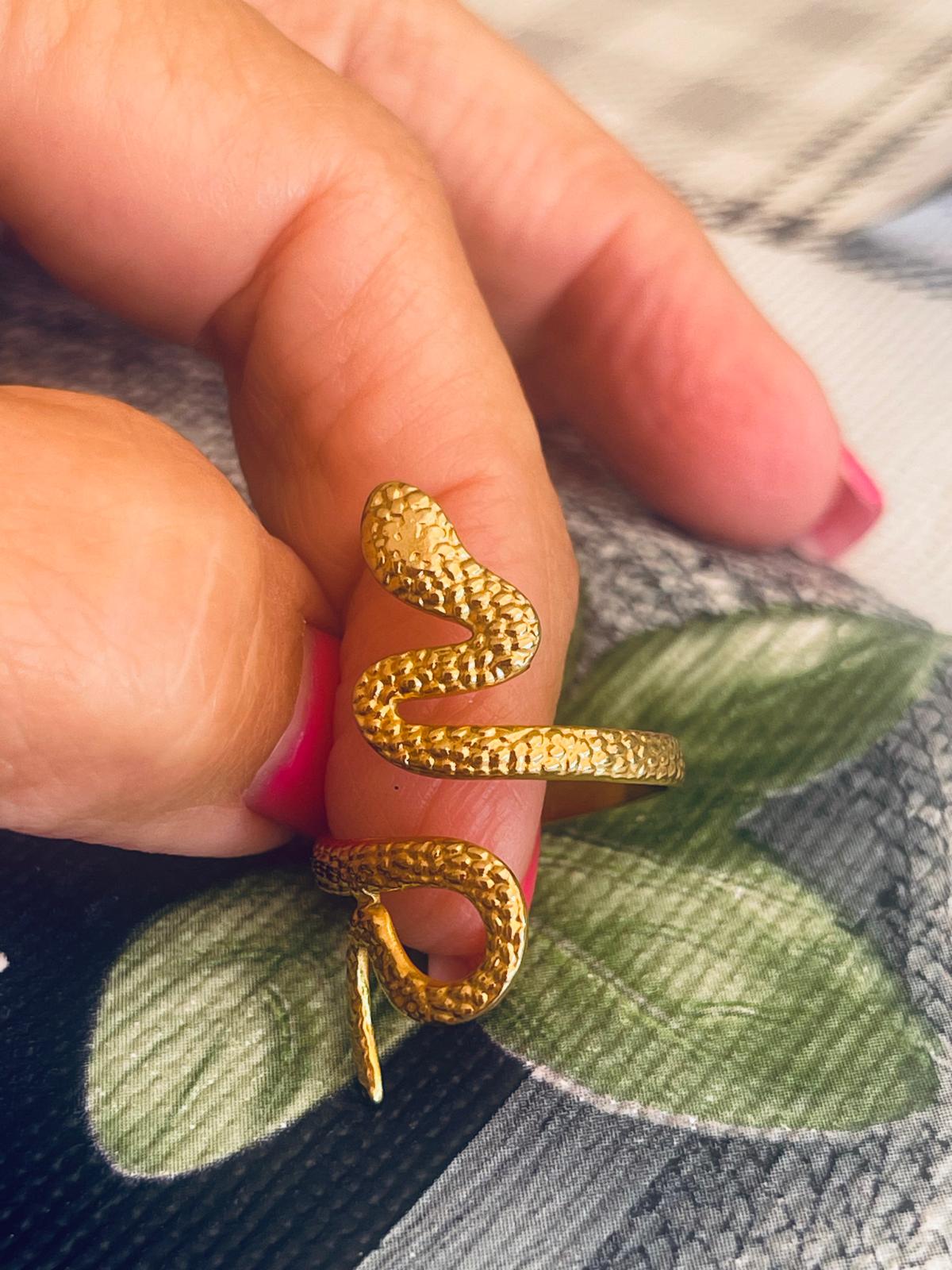 Anillo Snake