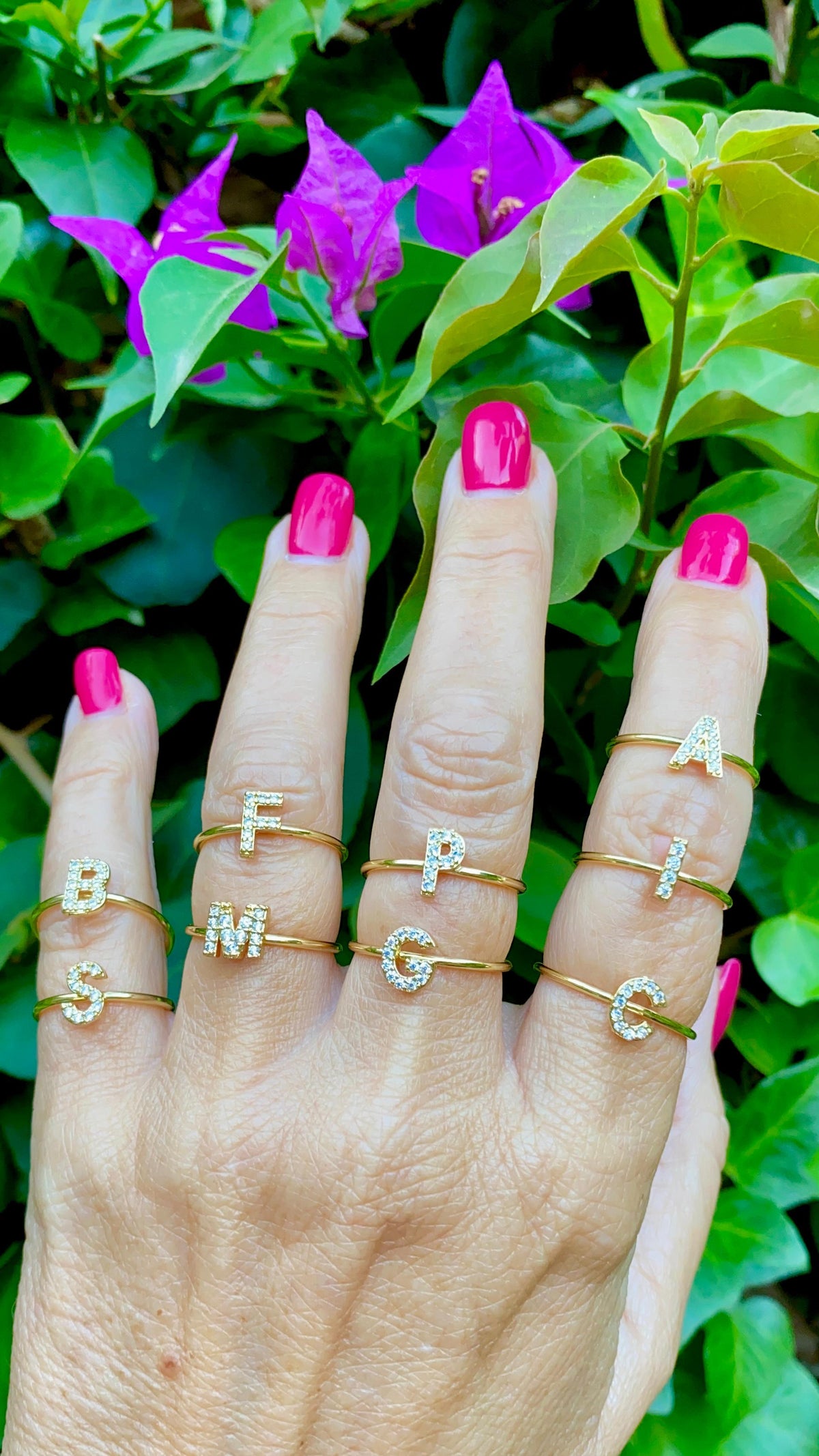 Anillo Inicial OMG
