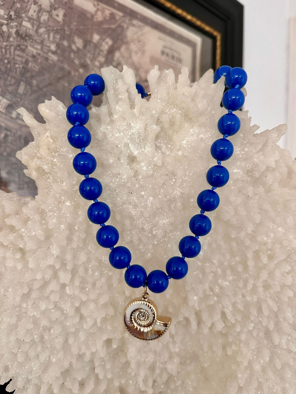 Collar Nautilus