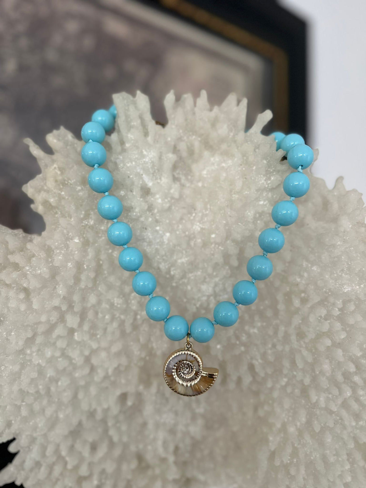 Collar Nautilus