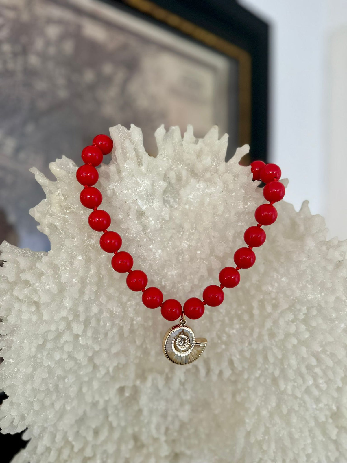 Collar Nautilus