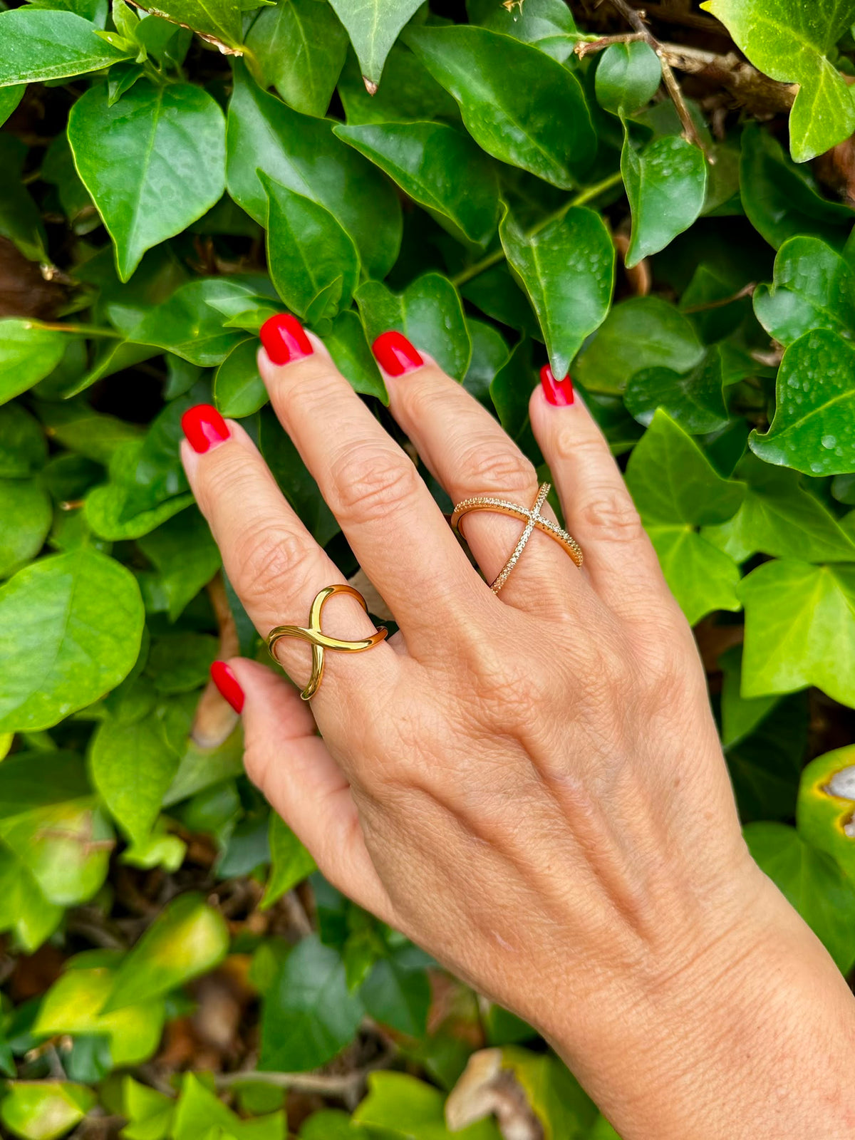 Anillo Lumiere