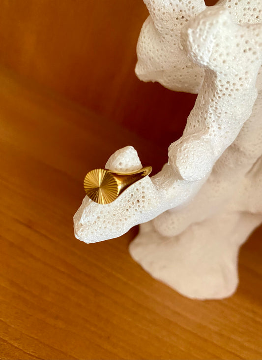 Anillo Bianca