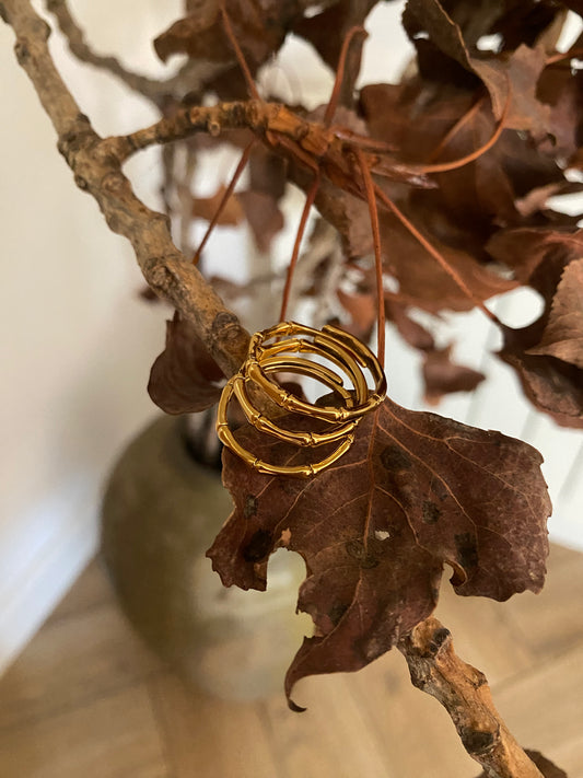 Anillo Bambú