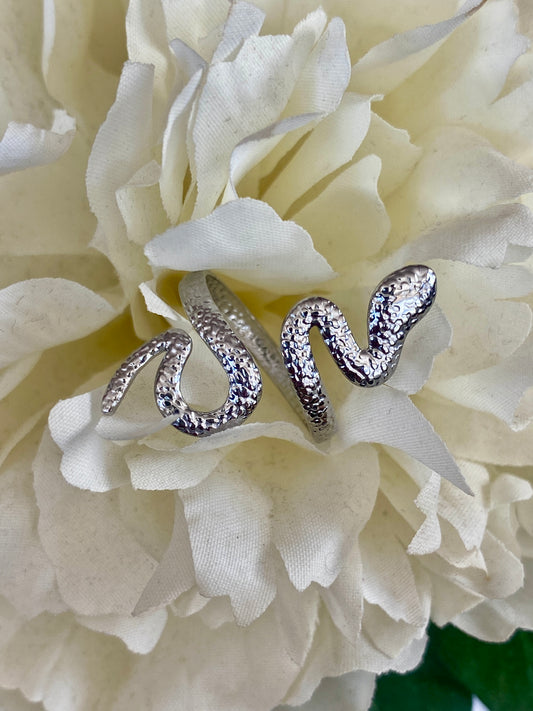 Anillo Snake