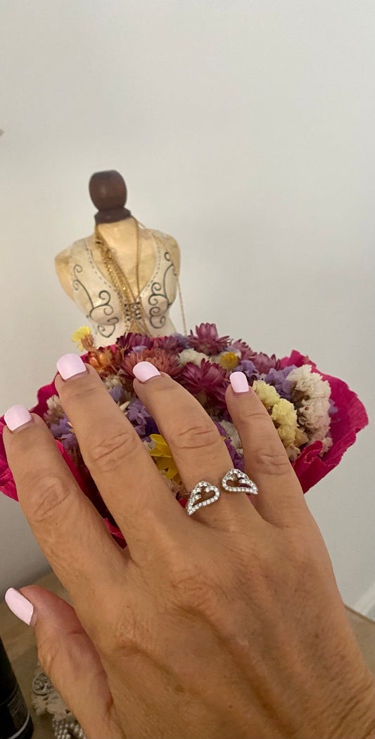 Anillo Alas